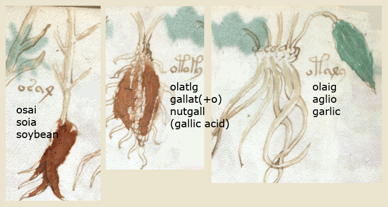 folio_88r_1.jpg
