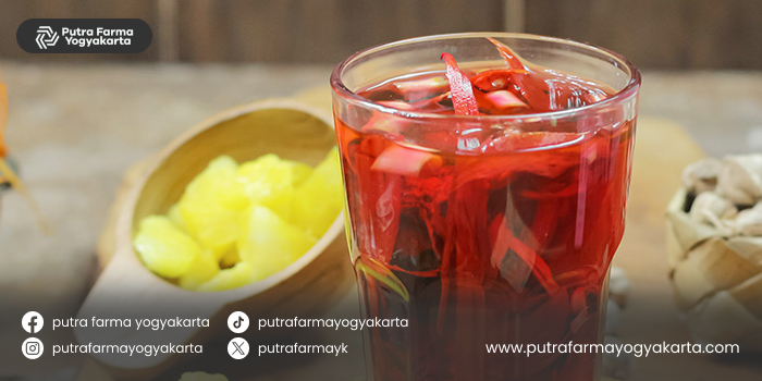 www.putrafarmayogyakarta.co.id