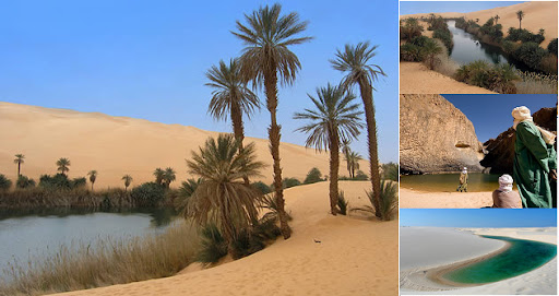 oasis.jpg
