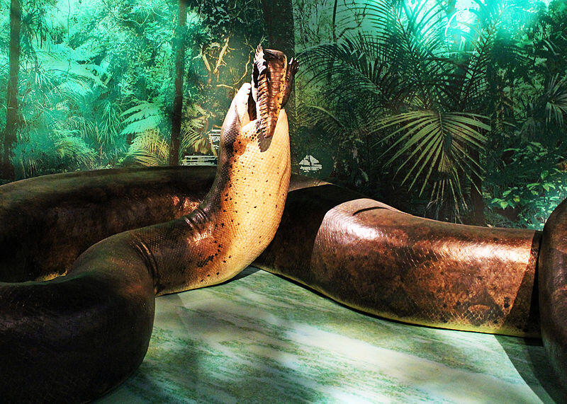 Top 20 Abnormally Large Animal That Really Exist