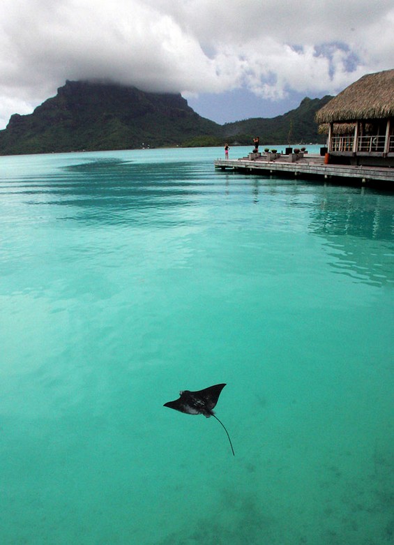 bora-bora-photos11.jpg