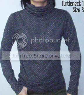 Turtleneck1.jpg