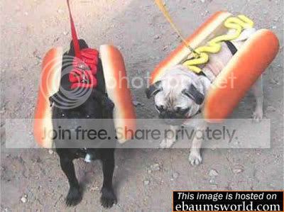 costumedogs4.jpg