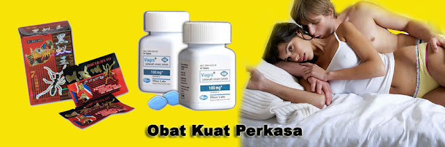 lentek.jpg