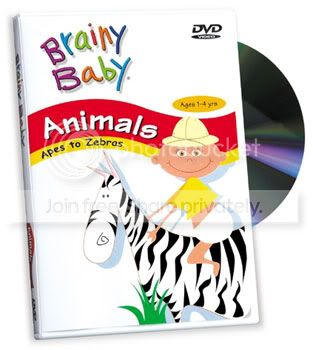 animal.jpg