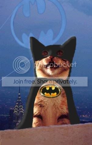 Batcat.jpg