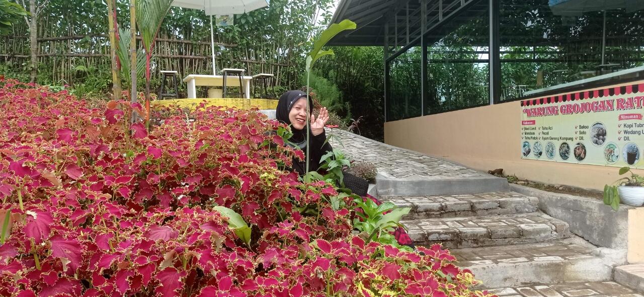 Grojogan Ratu, Tempat Asyik Untuk Makan Dan Refreshing 