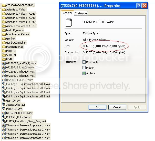 printscreen.jpg