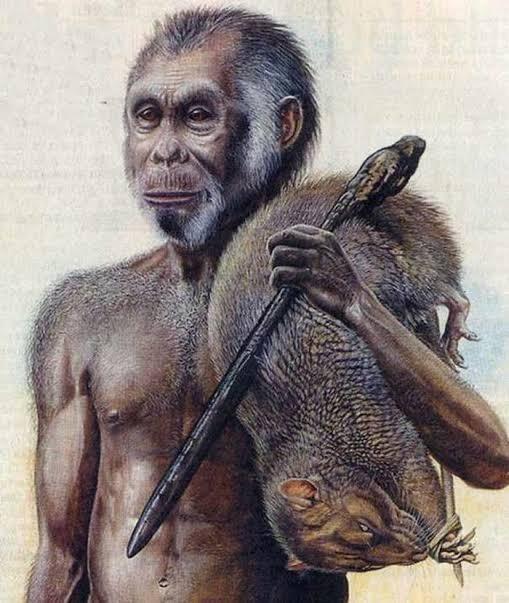 Ras Hobbit Di Indonesia, Apakah Masih Ada?