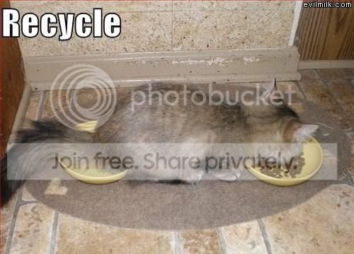 Recycle.jpg