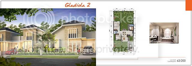 gladiola2.jpg