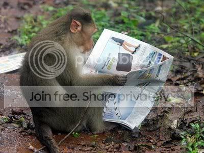 MonkeyReadsPaper.jpg