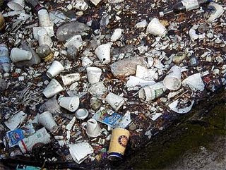 StyrofoamLitter.jpg