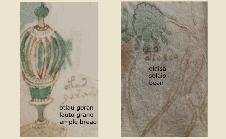folio_88v_4.jpg