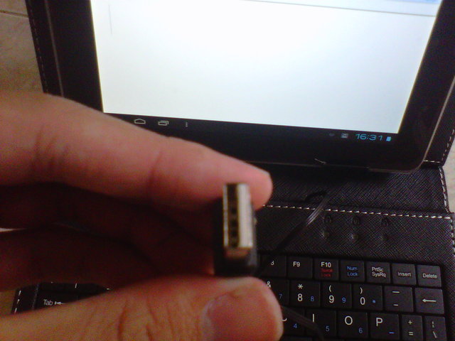 IMG01893_20120723_1630.jpg
