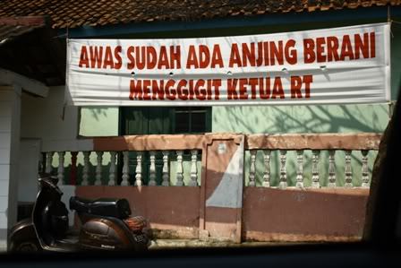 nGSU1.jpg