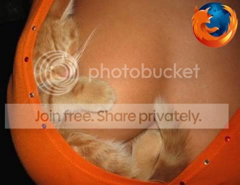 firefoxcat.jpg