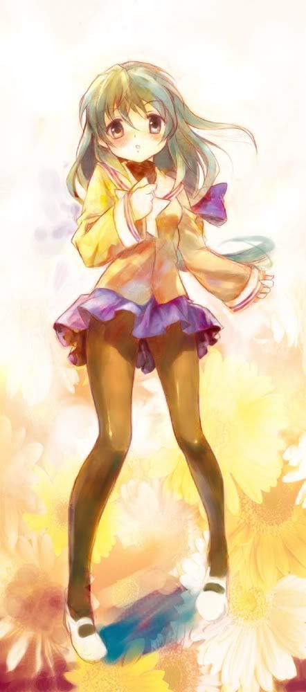 fuukolg.jpg