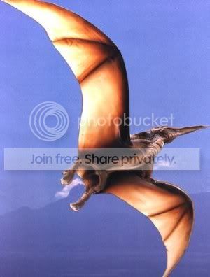 pterodactyl-1.jpg