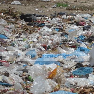 plastic-bags.png