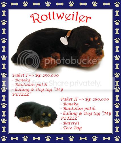 rottweilercopy.jpg