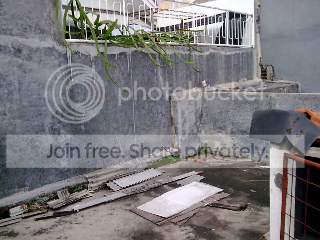 Picture085.jpg