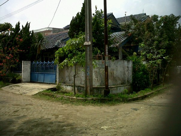 193b.jpg