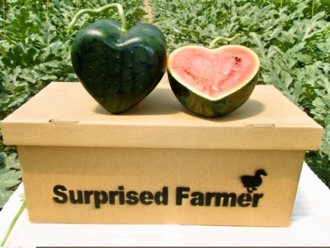 DwtaR.jpg
