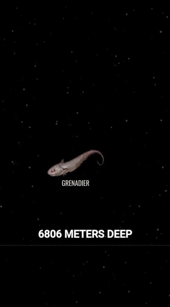 Ini Dia Ilustrasi Dalamnya Laut yg Begitu Menyeramkan [Warning : Sangat Dalam]