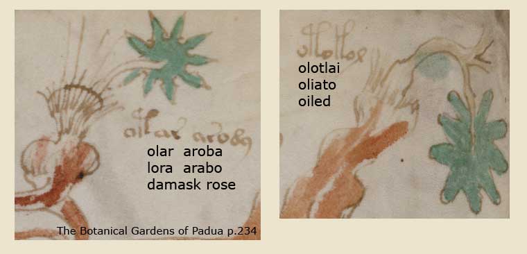 folio_88v_2.jpg