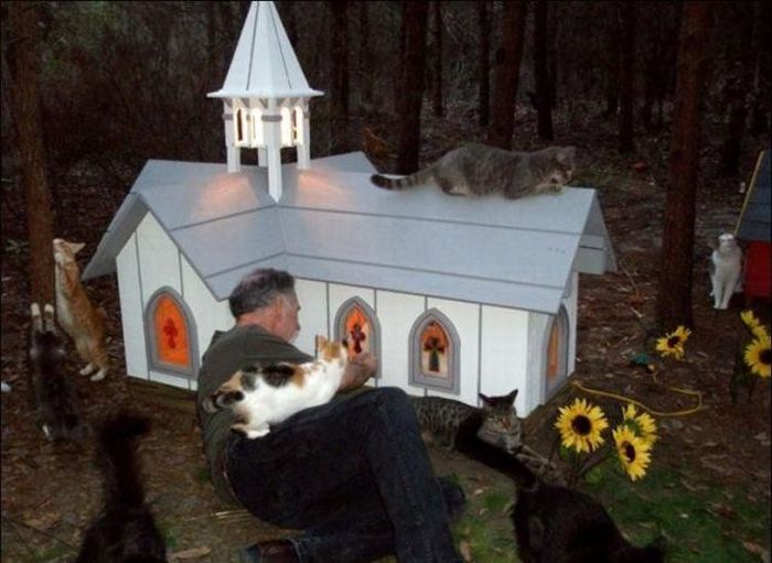 cat-city-7.jpg