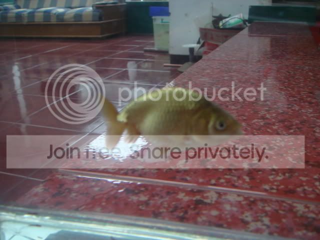 DSC01498.jpg