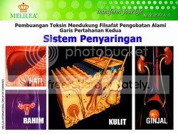 penyaringan.jpg