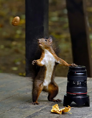 W0HtT.jpg