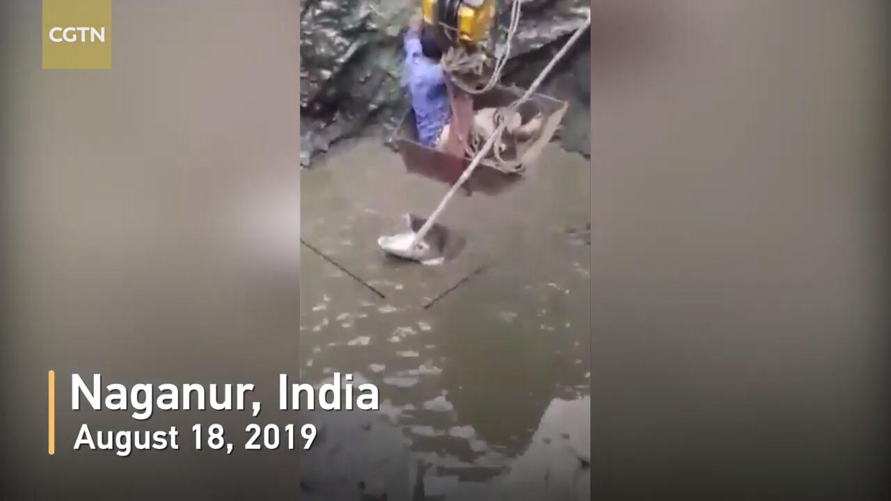 Menggadai Kehidupan Demi Menyelamatkan Hewan