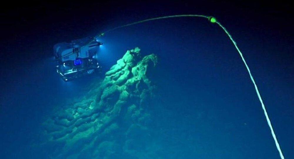 10 Fakta Tentang Palung Mariana 