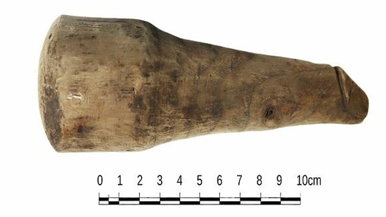 Dildo Purba ditemukan, Ukurannya Bikin Bingung