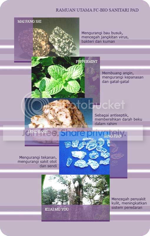 ramuan-utama.jpg