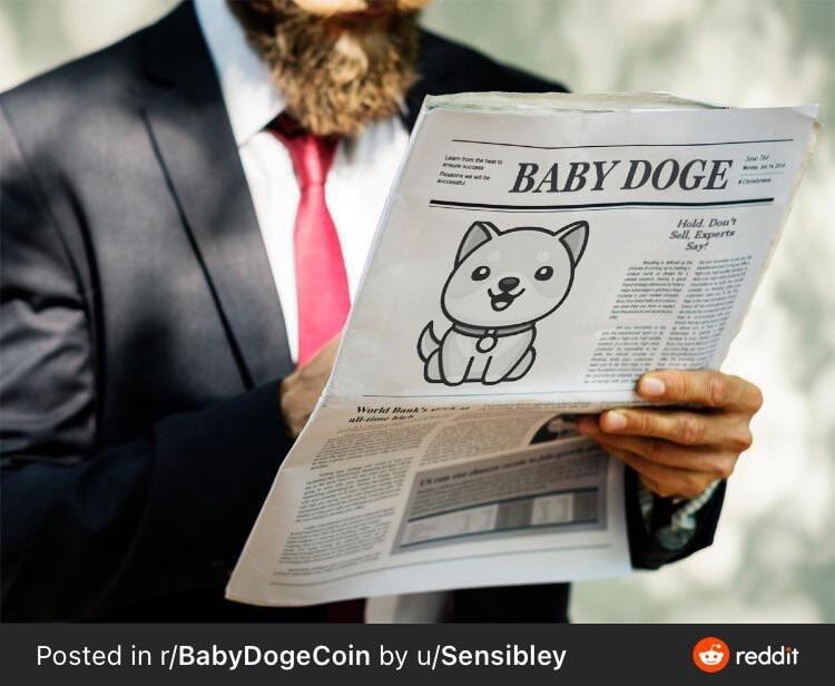 Apa itu ticker Baby Doge? BABYDOGE.