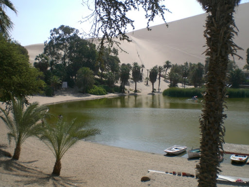 hucachina-oasis-3.jpg