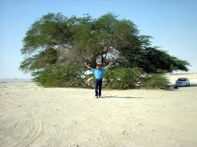tree+of+life4.jpeg