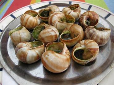biarritz_escargot.jpg