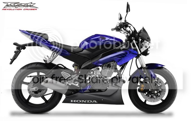 tigernew250cc.jpg