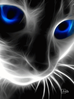 2.gif
