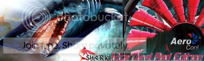 shark12red1.jpg