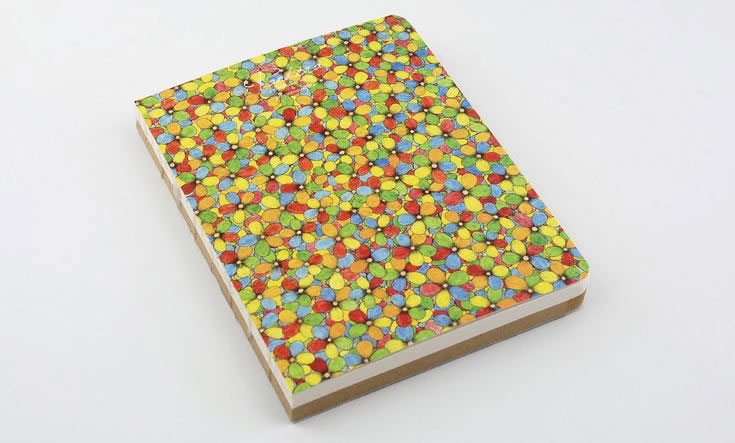 notebook_pandora_01_960.jpeg