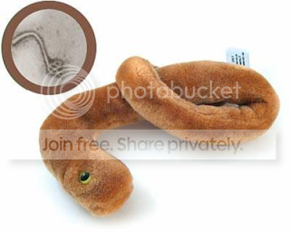 bacteria_ebola.png