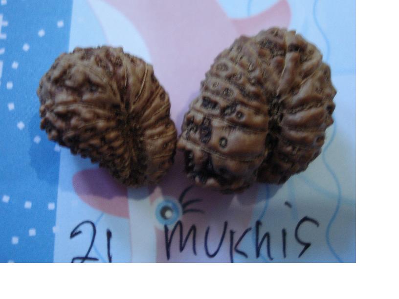 unikboss-genitri-3.jpg