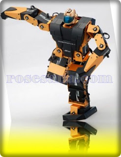 robo-innova.jpg
