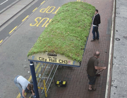 Yh0p8.gif